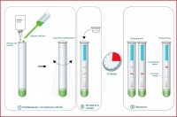 Экспресс-тест АНТИГЕН RESPI-STRIP AG (Аналог ПЦР)